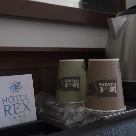 Rex Отель 3*